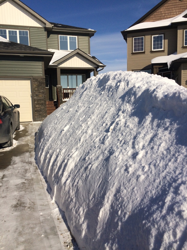 Piles of snow in Winnipeg. 