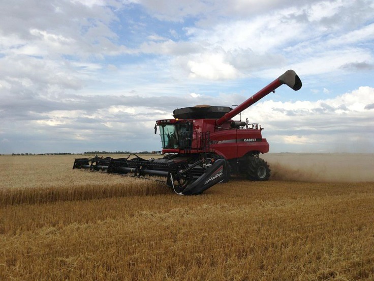 A combine in a wheat field. 